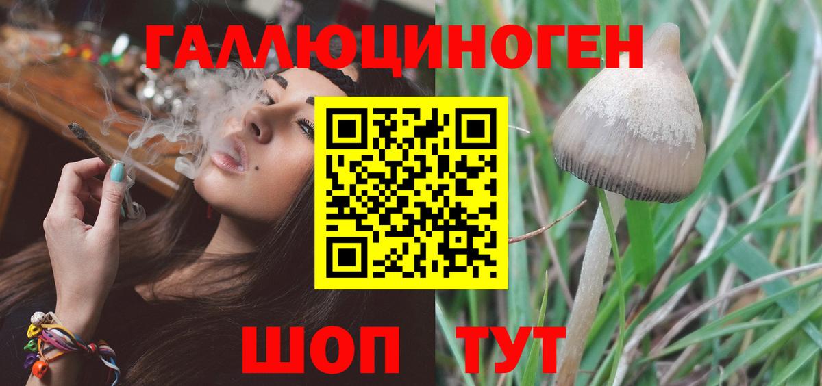 Галлюциногенные грибы прущие грибы  Вход с VPN  Нижний Новгород 